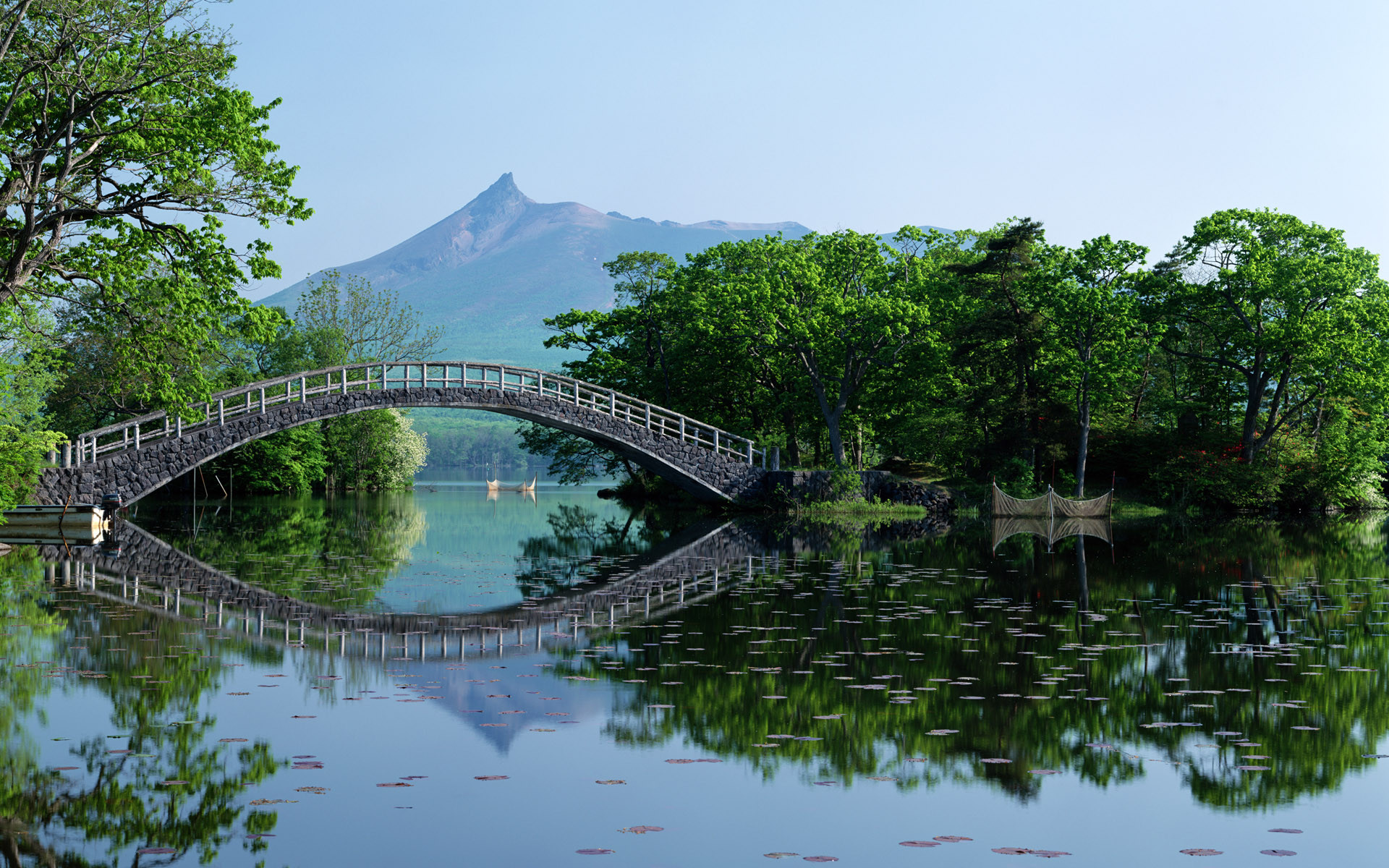 Мосты из природы