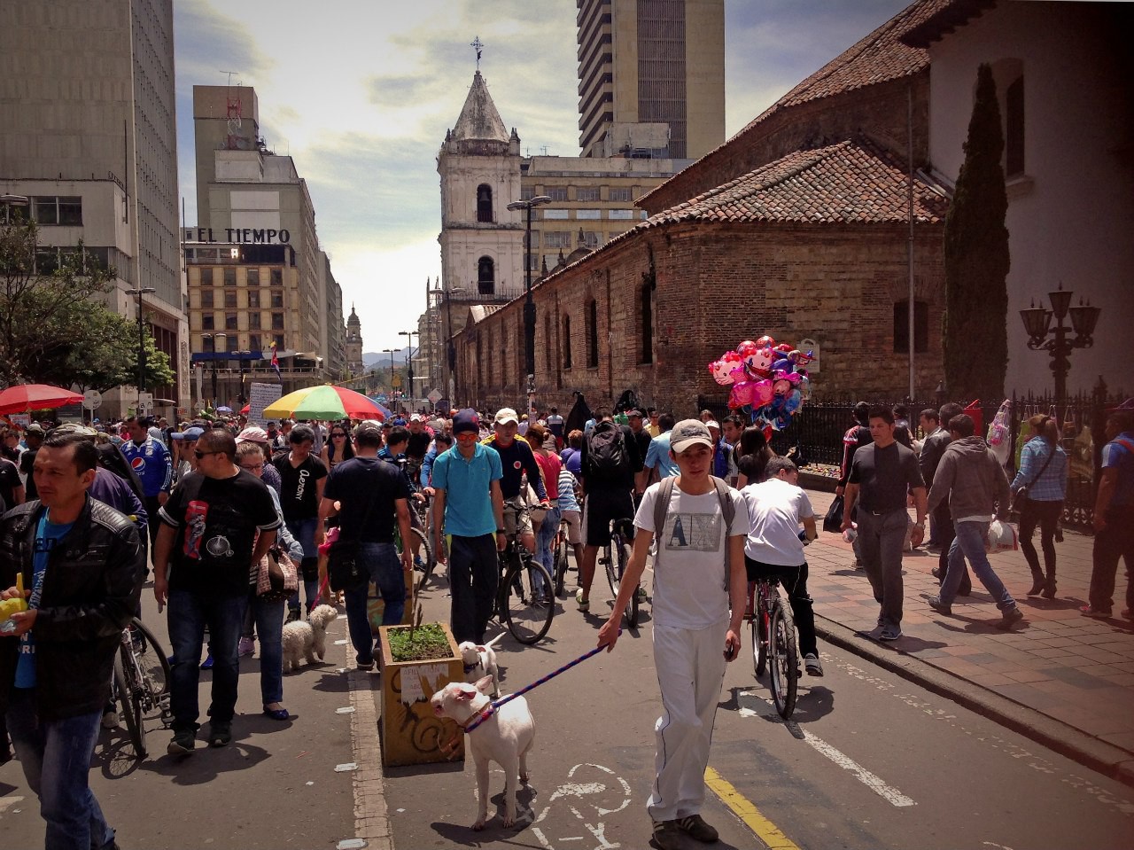 Bogota acompañantes