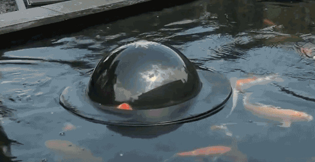 Плавающей купол, который позволяет рыбам выглянуть из пруда