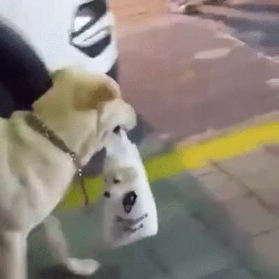 "Детей ношу с собой"