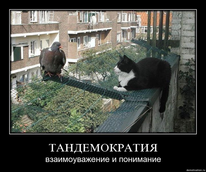 Приколы про риск, картинки цитаты
