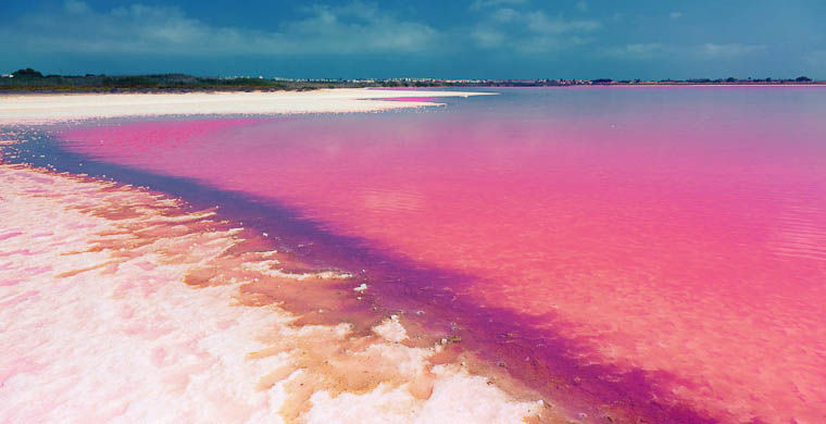 15. Розовое озеро