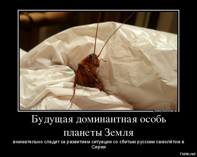 сон крысы тараканы