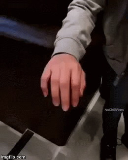 Гифки дня Гифки дня
