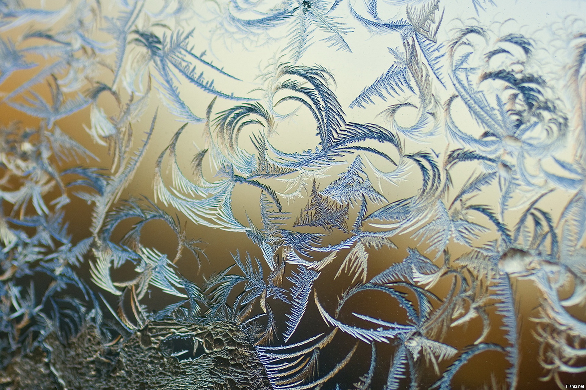 Мороз рисует на стекле узоры. Морозные узоры на стекле. Морозные узоры на окне. Красивые узоры на стекле.