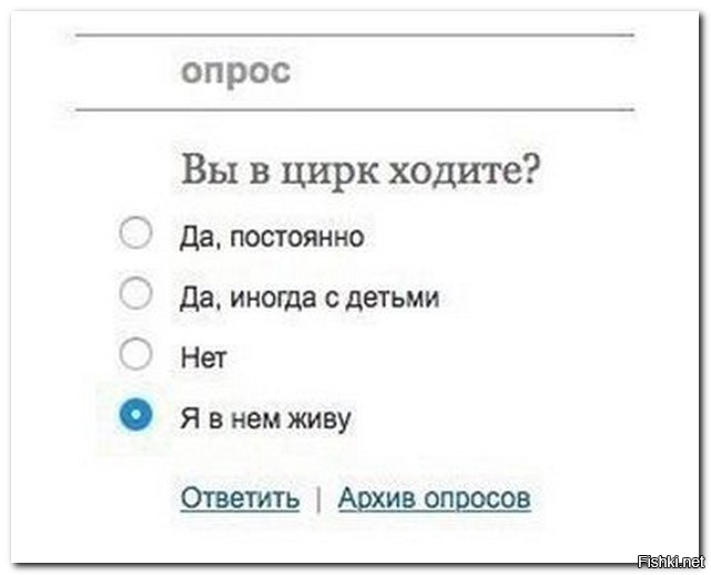 Опросы прикольные в картинках, букеты цветов картинки