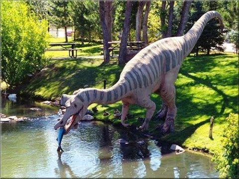 Следы динозавров найдены на острове Скай в Шотландии 