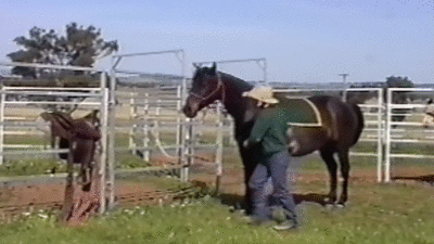 "Я это носить не буду!"