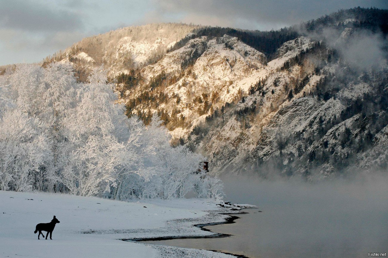 Без суровая. Река Енисей. Тайга Тува Енисей. Енисей зимой в Красноярске. Замерзший Енисей.