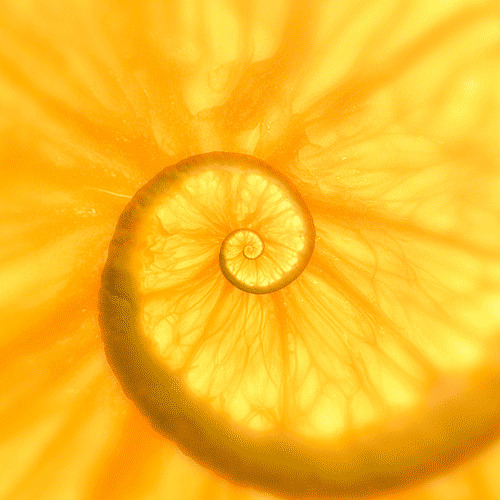 #3 Апельсин