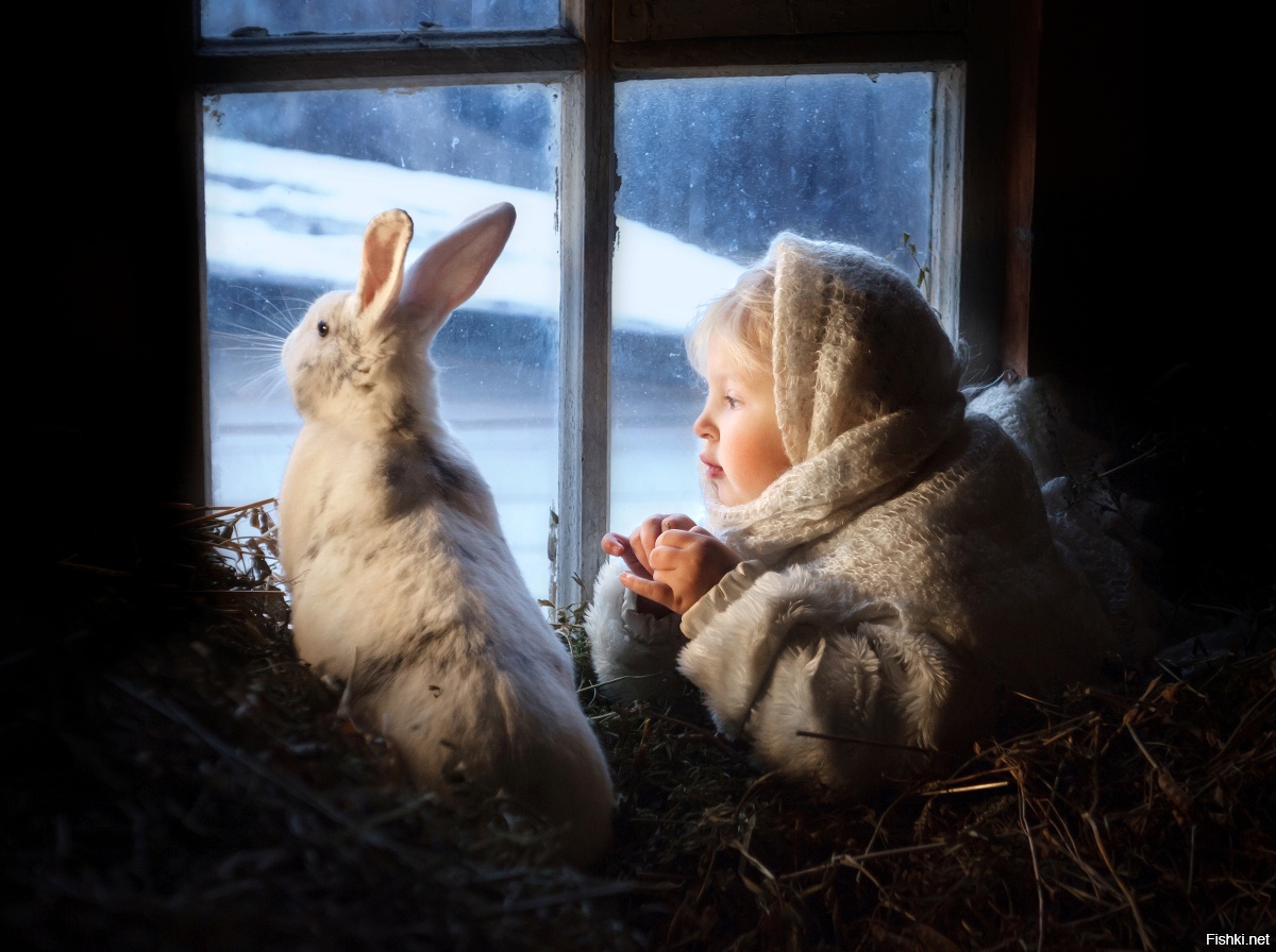Дети и животные у окна