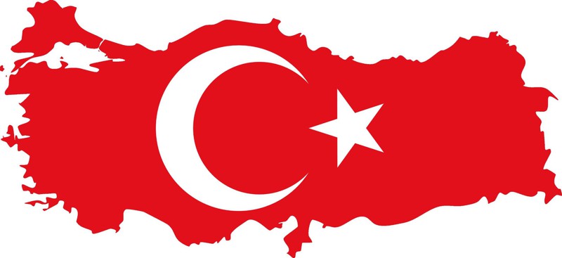 Турецкий гамбит