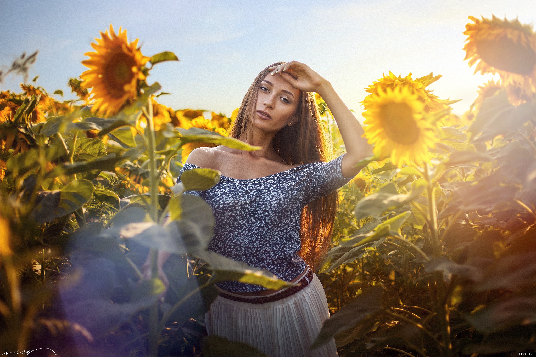 Девушка в подсолнухах. Фотосессия в подсолнухах. Фотосессия в поле подсолнухов. Девушка в поле подсолнухов.