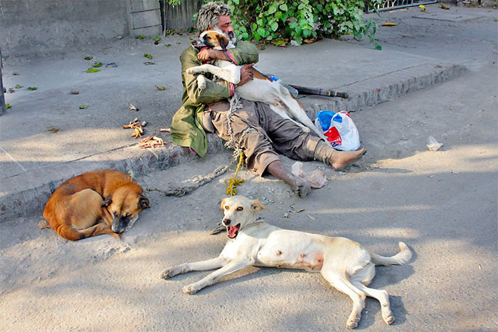 41. Бездомный с питомцами на улице Лахора 