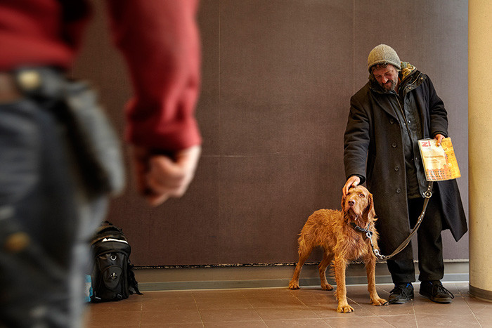 28. Этот бездомный присматривает за собаками, оставленными у супермаркета 