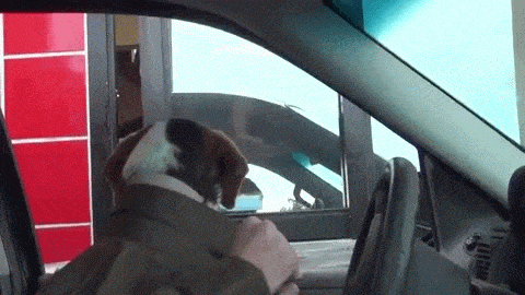 "Биг мак, пожалуйста"