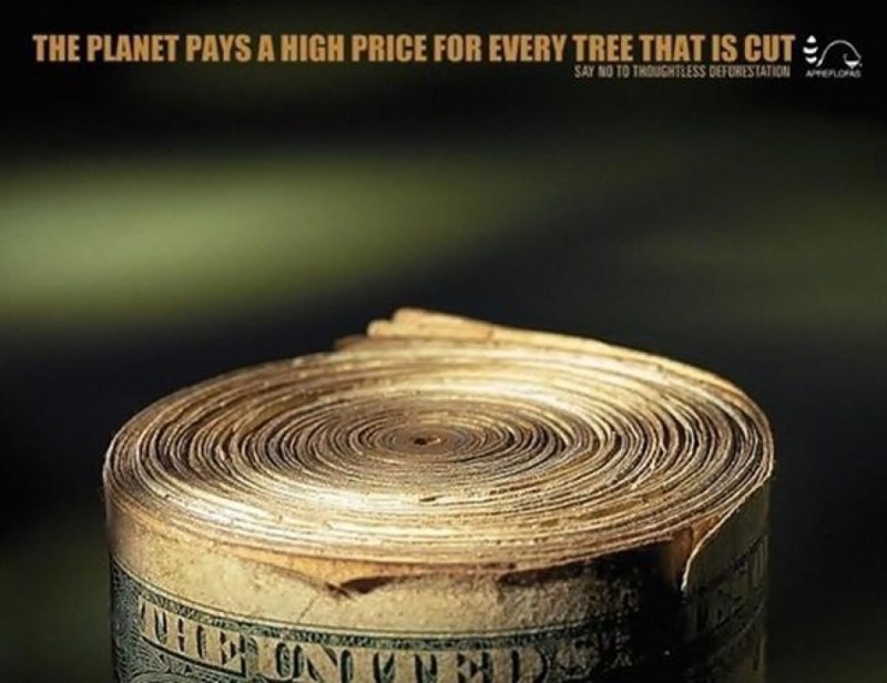 Планета платит слишком большую цену за каждое срубленное дерево