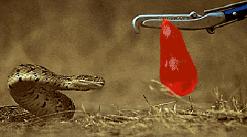 30 обычных вещей, которые становятся волшебными в ускоренной съёмке