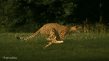 30 обычных вещей, которые становятся волшебными в ускоренной съёмке