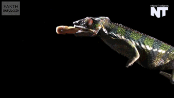 30 обычных вещей, которые становятся волшебными в ускоренной съёмке