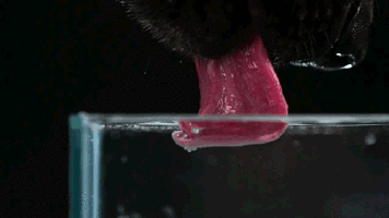 30 обычных вещей, которые становятся волшебными в ускоренной съёмке