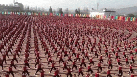 Действие происходит в Китае в одной из крупнейших школ боевых искусств. 