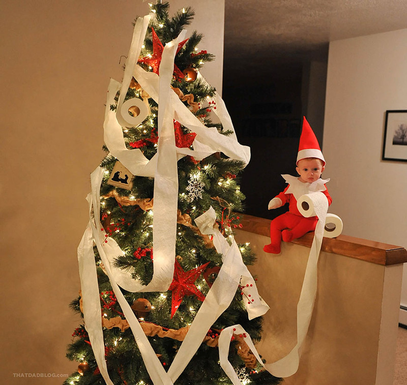 Вот эльф обмотал рождественскую елку туалетной бумагой