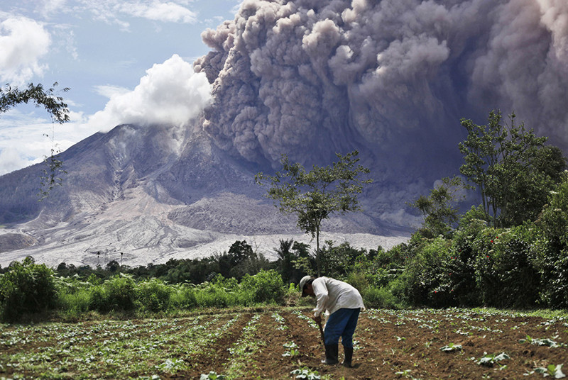 Индонезийский фермер продолжает окучивать землю неподалеку от извергающегося вулкана на острове Суматра, 13 июня.