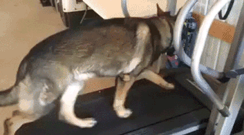 Не с первого раза все получается