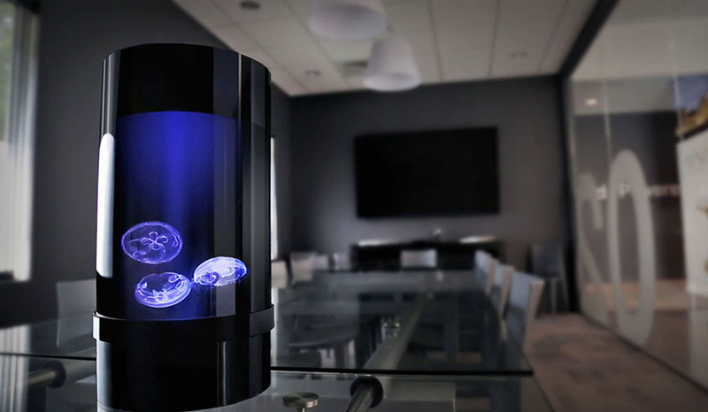 Аквариум для содержания медуз в домашних условиях