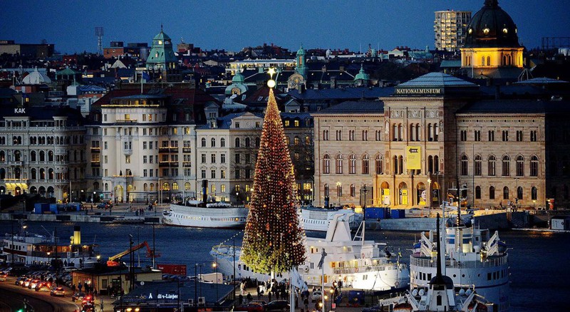 36-ти метровая традиционная Рождественская елка в Стокгольме. 