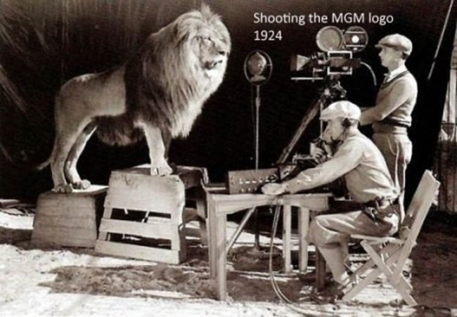 Съёмка льва для логотипа Metro-Goldwyn-Mayer Закулисные кадры, актеры, которые меняют восприятие культовых фильмов, между съёмками