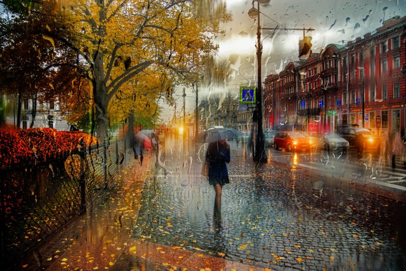 Дождливые пейзажи петербургского фотографа, словно написанные маслом