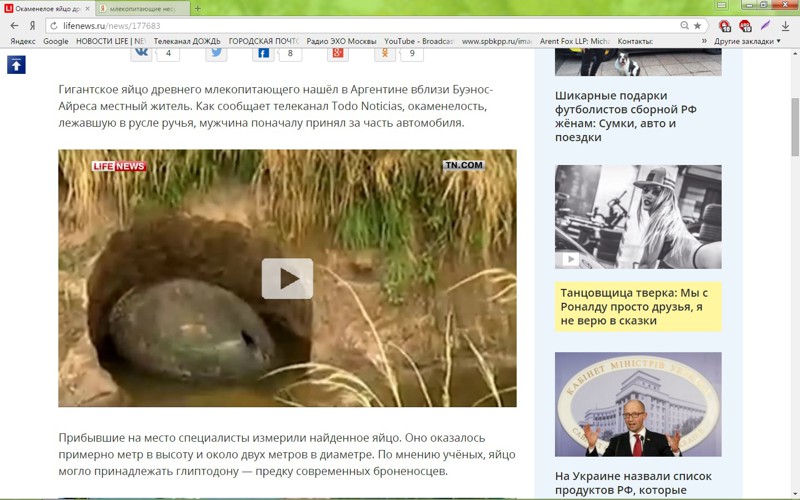 Странное млекопитающее от лайфньюс 