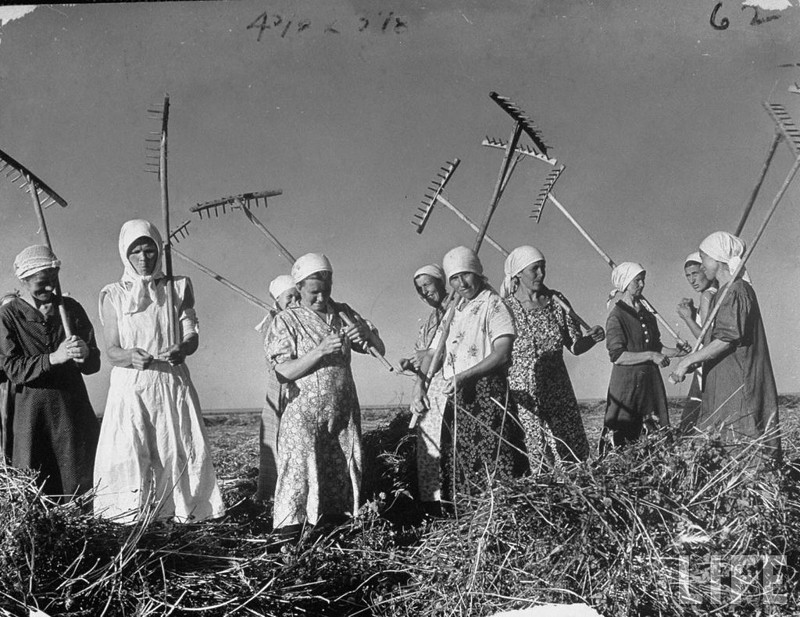 Половозрастная стратификация русского деревенского сообщества — ХХ век
