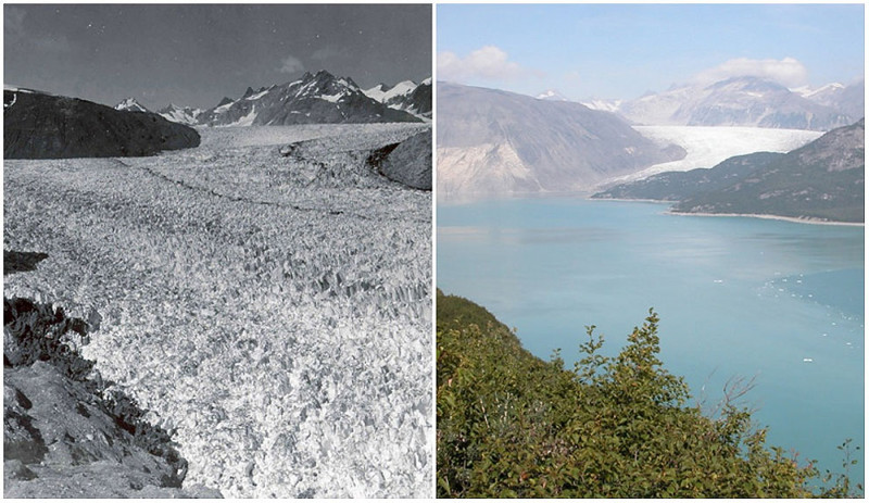 Ледник Муир, Аляска. Август 1941 г. — август 2004 г.