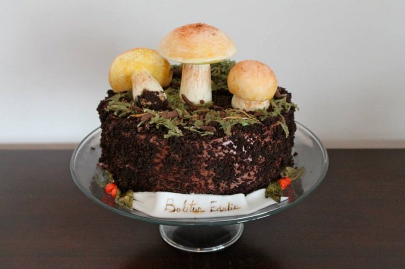 Дей начала создавать торты пару лет назад. Первая ее работы была выполнена в виде пня, покрытого грибами