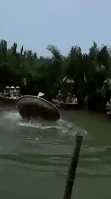 Такое возможно только во Вьетнаме