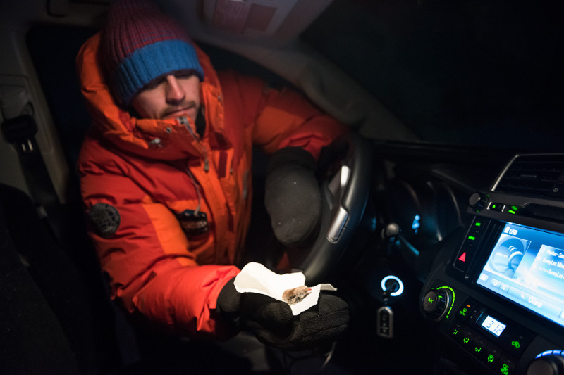 Месяц жизни в Toyota в условиях Арктики