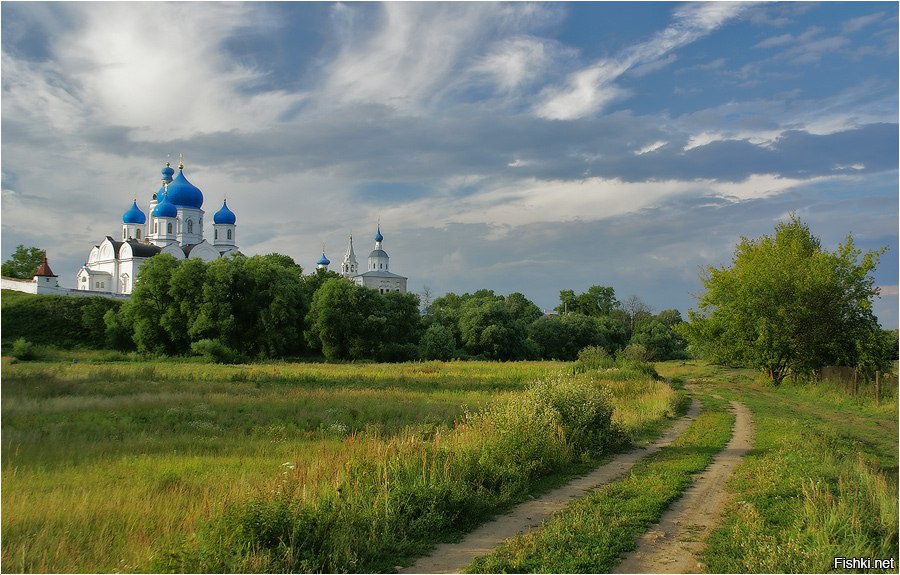 Русь моя. Родина Церковь. Родина Россия храм. Русь Матушка соборы. Русские березы и храм вдалеке.