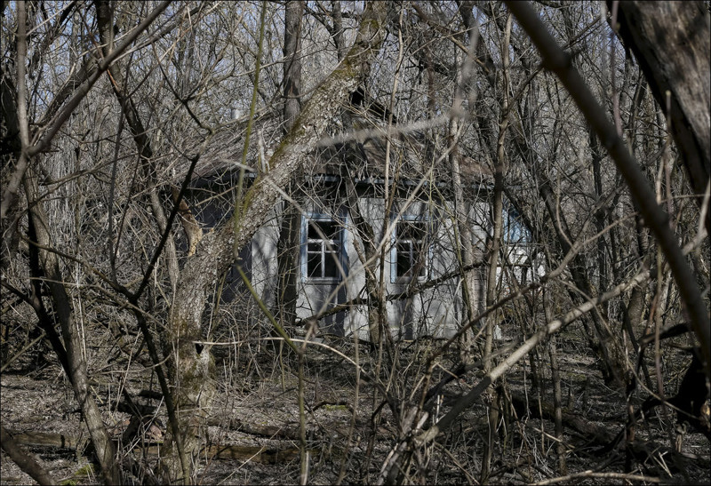 Чернобыль: 30 лет трагедии!