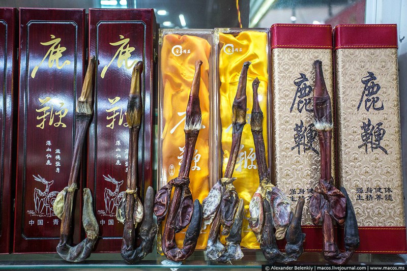 Магазин сушеных пенисов в Китае