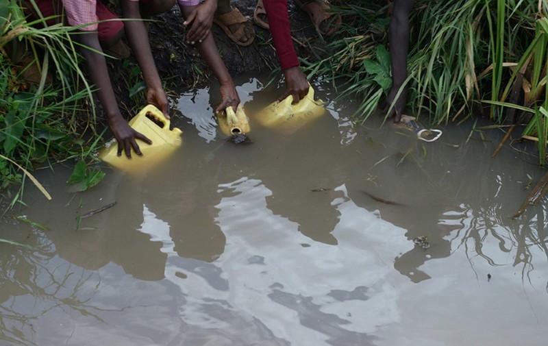 «Питьевая» вода, которую набирают в болоте, Кения.