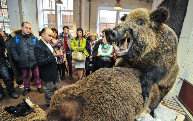 В Санкт-Петербурге открылась выставка «Интимные тайны животных» 
