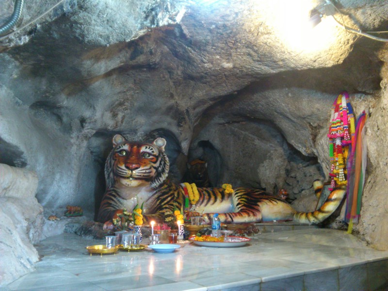 Храм тигров