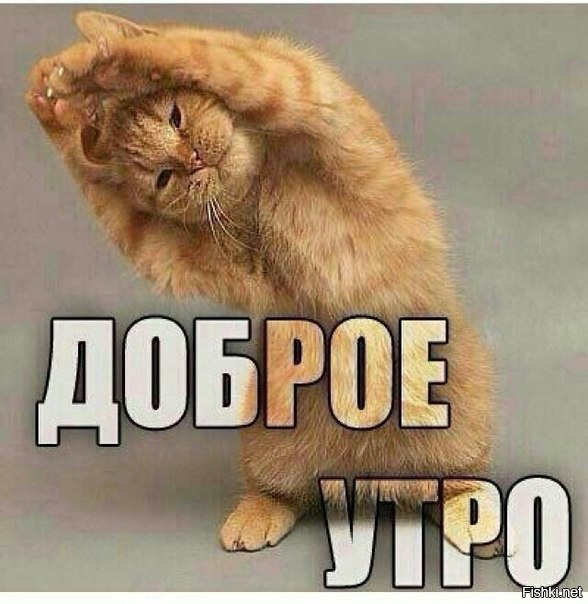 http://cdn.fishki.net/upload/post/2016/04/24/1930194/ac15c87599fed3a423cb8d054a382a23.jpg