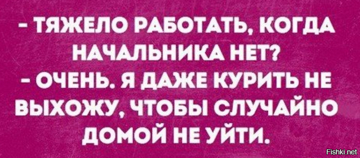 Смешные надписями, прикольные картинки нет начальства