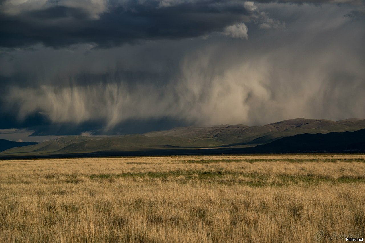 Зона дождя. Вирга. Virga.