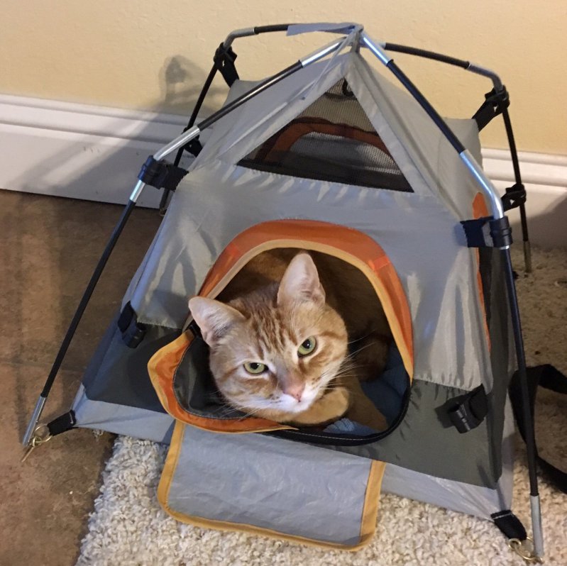 Палатка для кота 