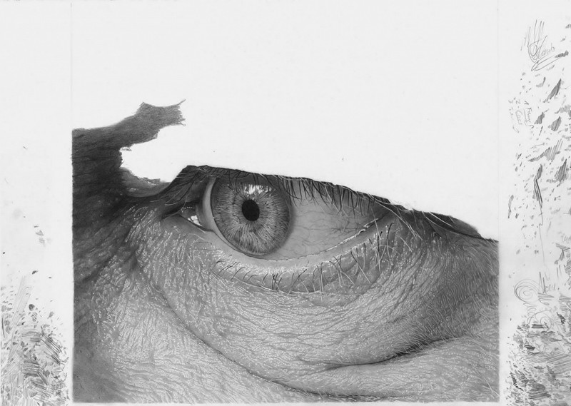 Широко открытые глаза: детализированные карандашные рисунки Флавио Апеля